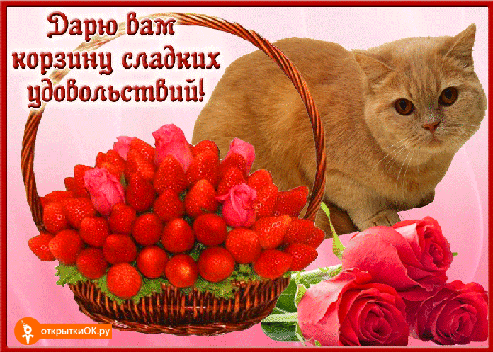 Плейкаст бесплатно Плейкаст бесплатно