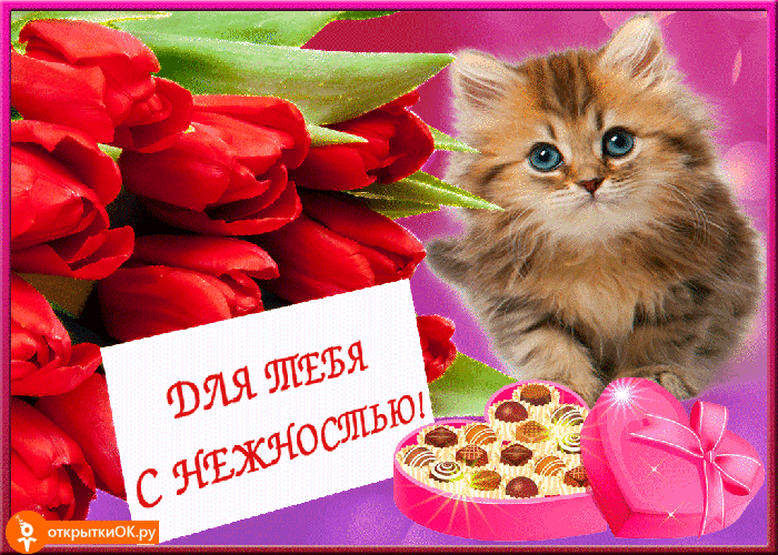 Плейкаст нежность