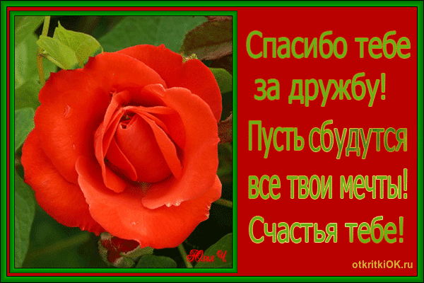 Плейкаст спасибо за дружбу