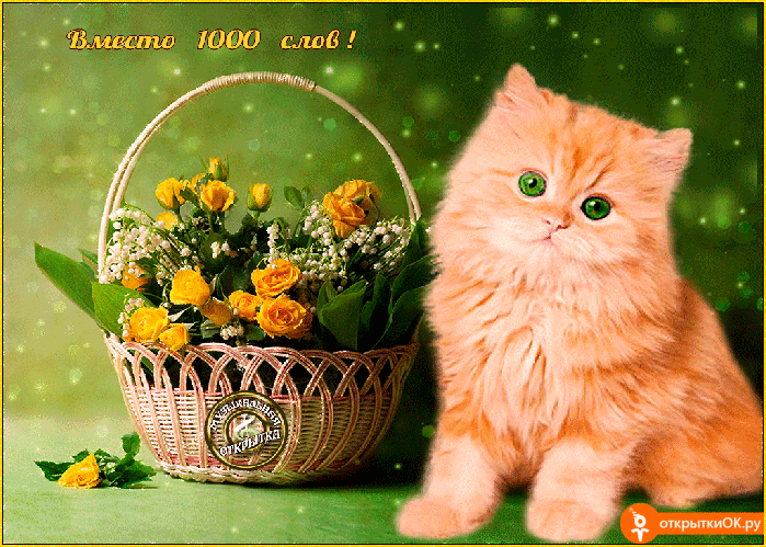 Плейкаст вместо 1000 слов