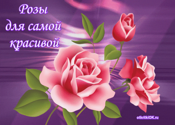 Плейкаст женщине красивые розы