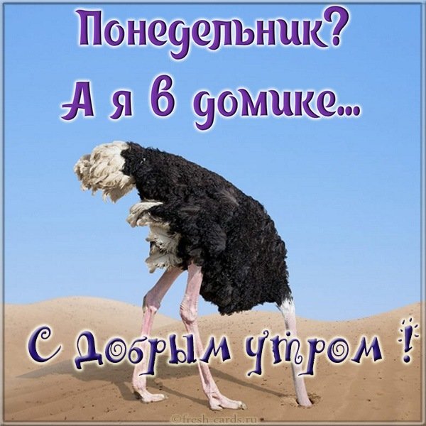 Понедельник картинка прикольная с надписями доброе утро