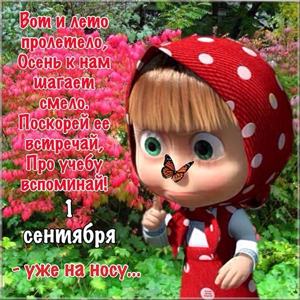 Последний день лета прикольная картинка