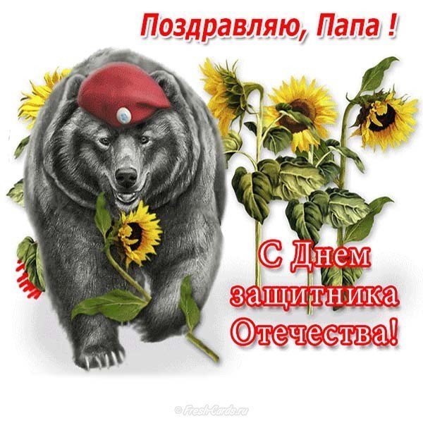 Поздравить папу с 23 февраля открыткой