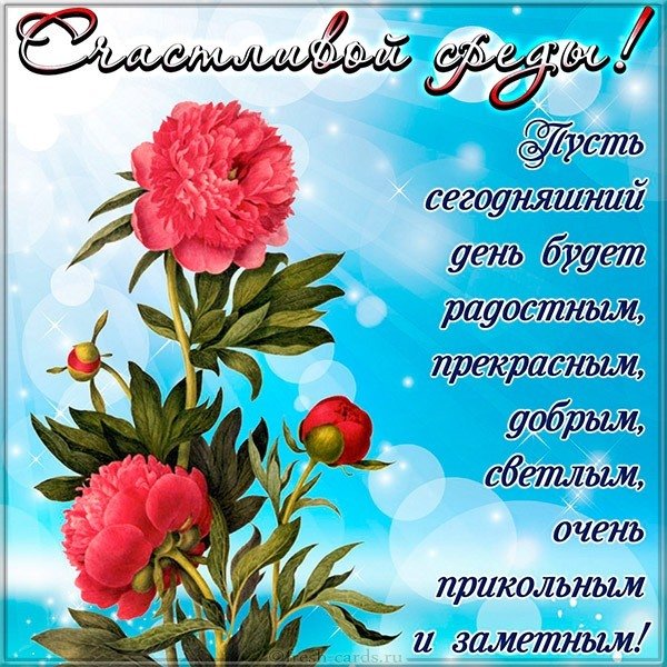 Поздравительная красивая открытка со средой