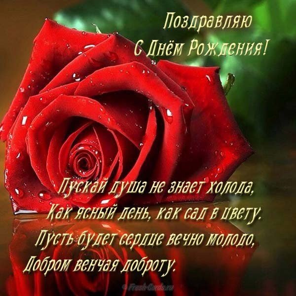 Поздравительная открытка с днем рождения девушке бесплатно