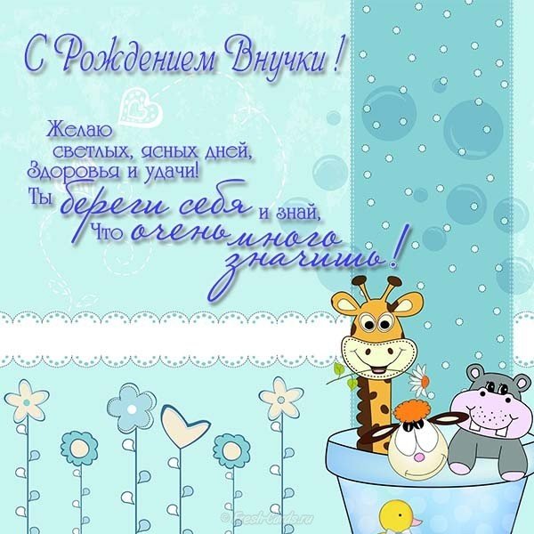 Поздравительная открытка с рождением внучки бесплатно