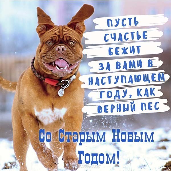 Поздравительная открытка со старым новым годом прикольная