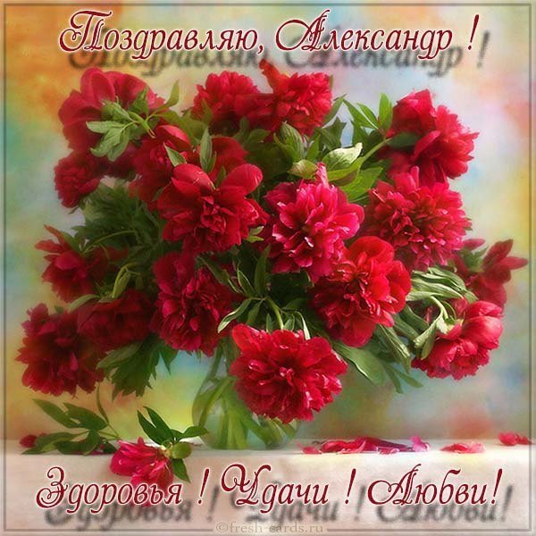 Поздравление Александру открытка