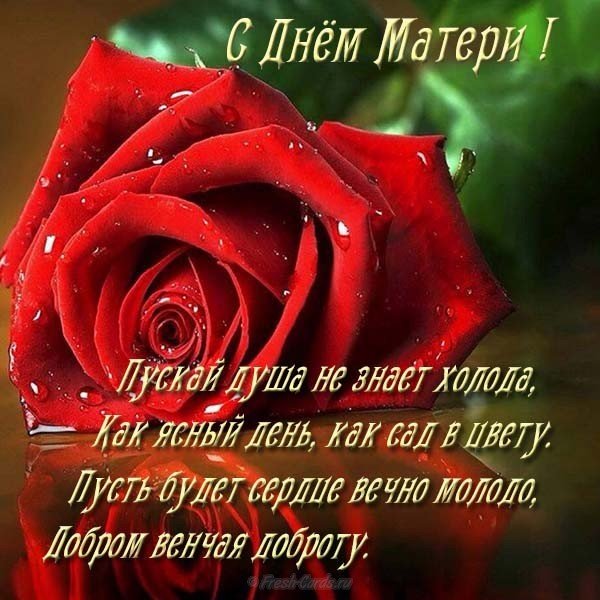 Поздравление ко дню матери в картинке