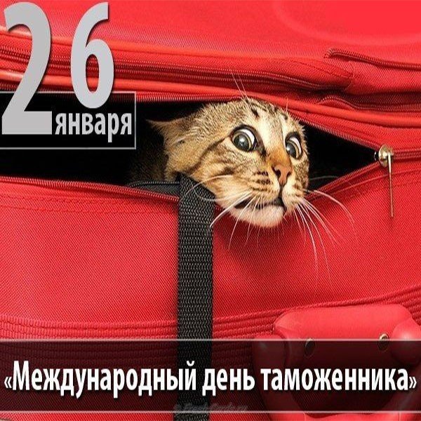Поздравление международный день таможенника