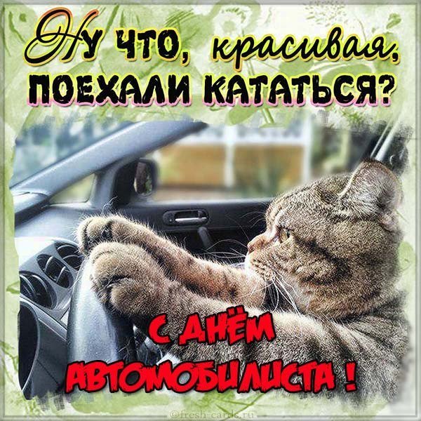 Поздравление на день водителя прикольная открытка