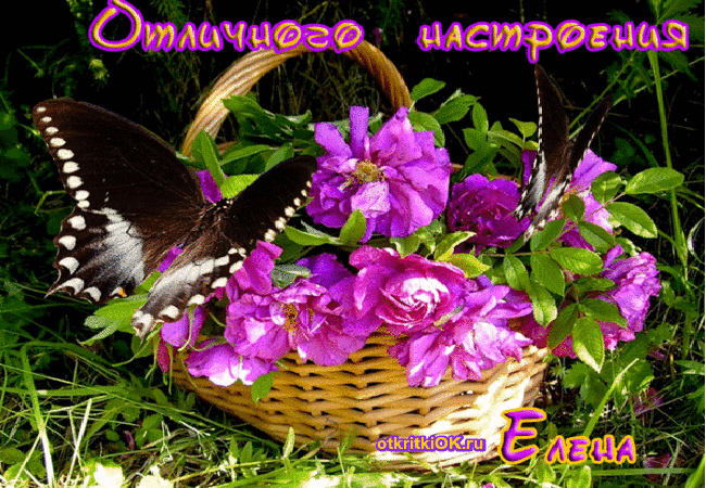 Пожелание отличного настроения открытка