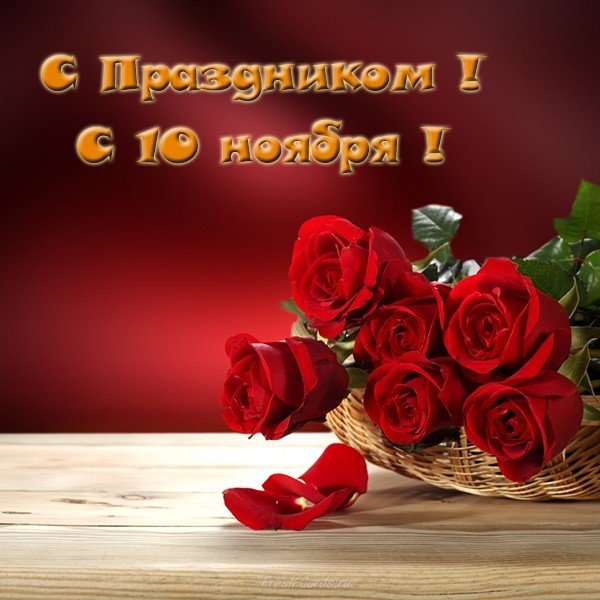 Праздник 10 ноября открытка