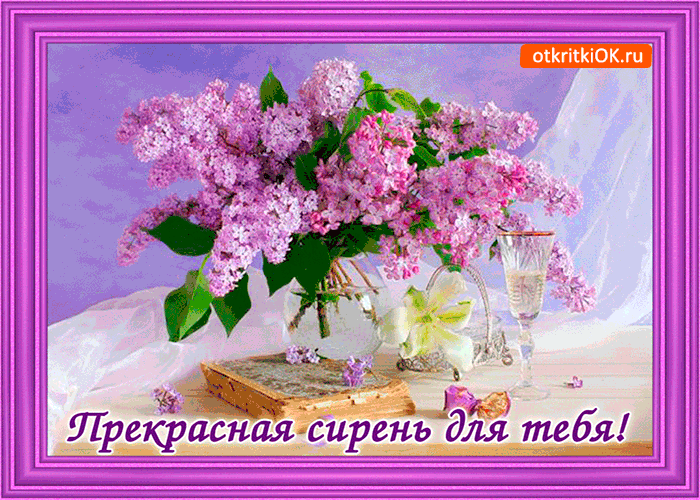 Прекрасная сирень для тебя