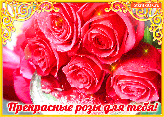 Прекрасные розы только для тебя
