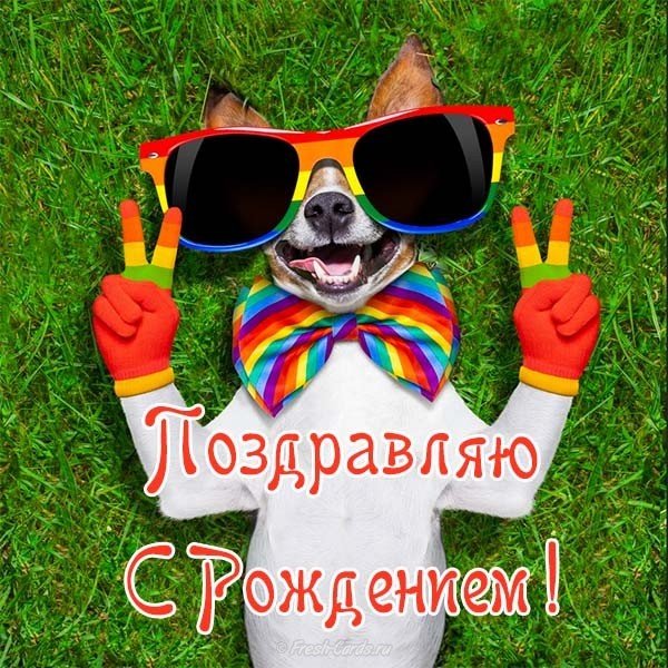 Прикол открытка с рождением