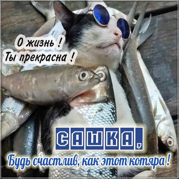 Прикольная картинка для Саши