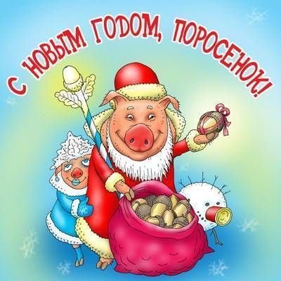Прикольная картинка на Новый 2019 Год свиньи загрузить