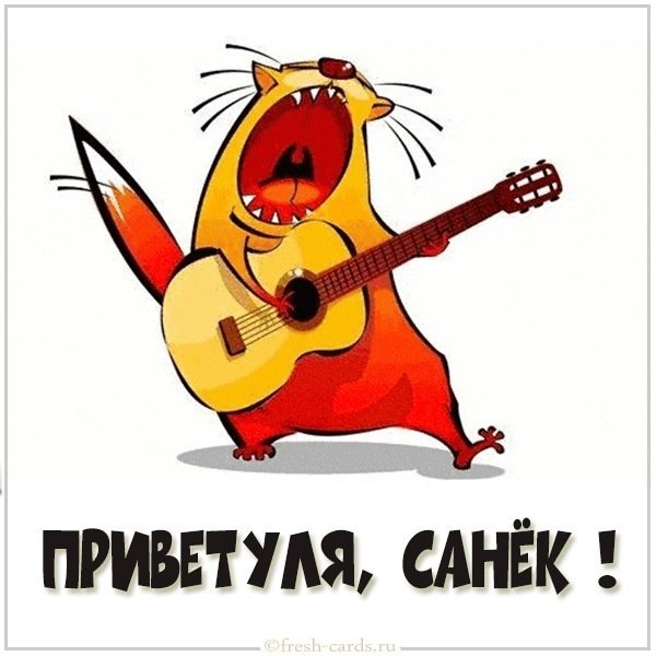 Прикольная картинка привет Санек