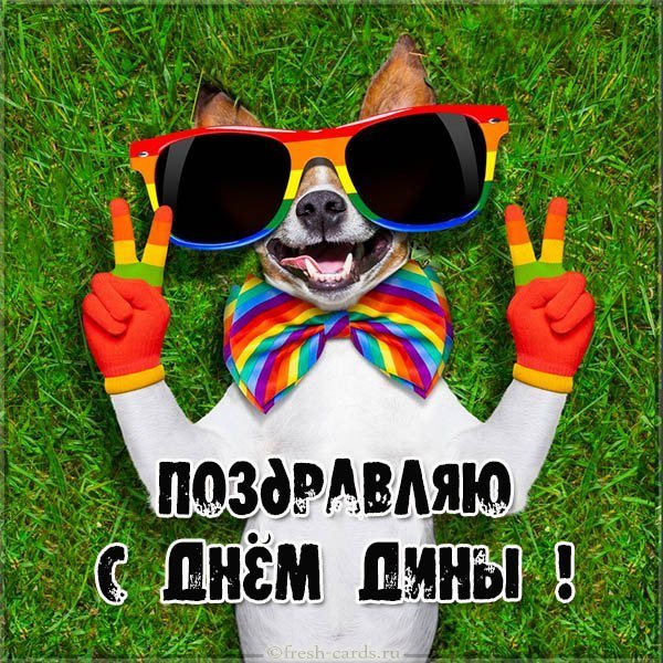 Прикольная картинка с днем Дины