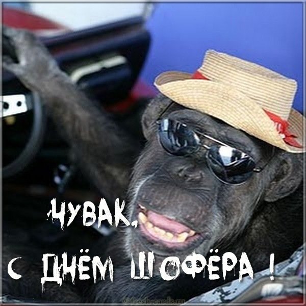 Прикольная картинка с днем шофера