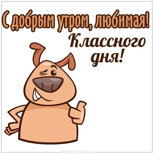 Прикольная картинка с добрым утром любимая
