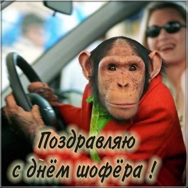 Прикольная картинка с надписью с днем шофера