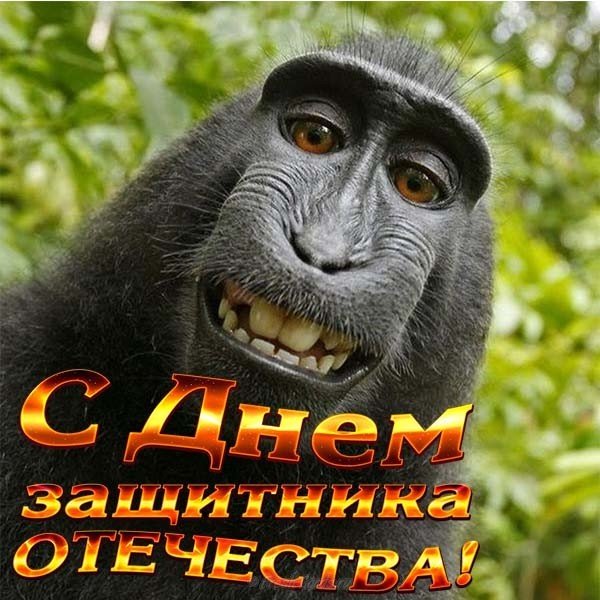Прикольная открытка для мужчин к 23 февраля