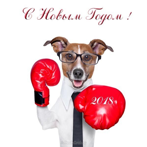 Прикольная открытка год собаки