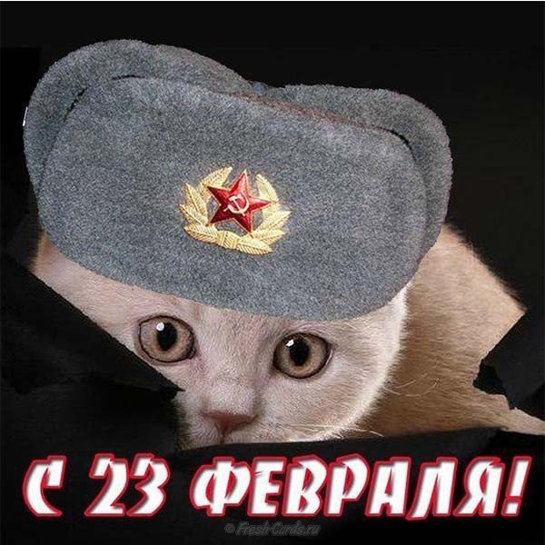 Прикольная открытка к 23 февраля