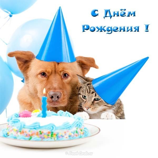 Прикольная открытка ко дню рождения девушке