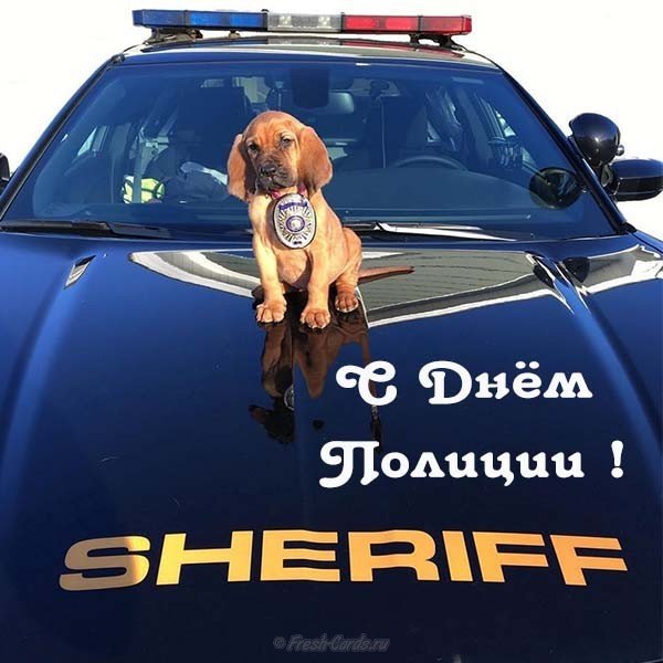 Прикольная открытка на день полиции