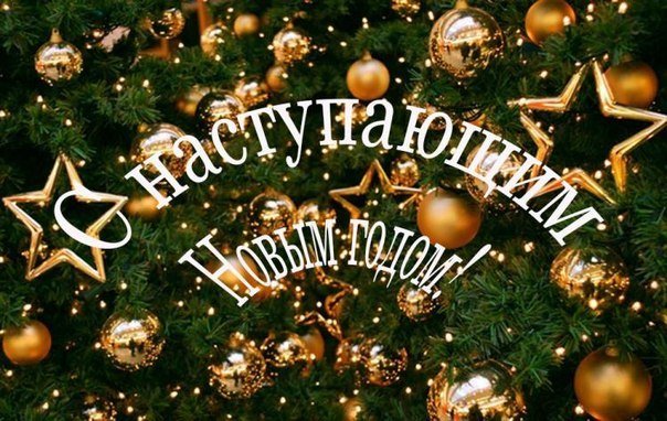 Прикольная открытка на Новый 2019 Год свиньи загрузить