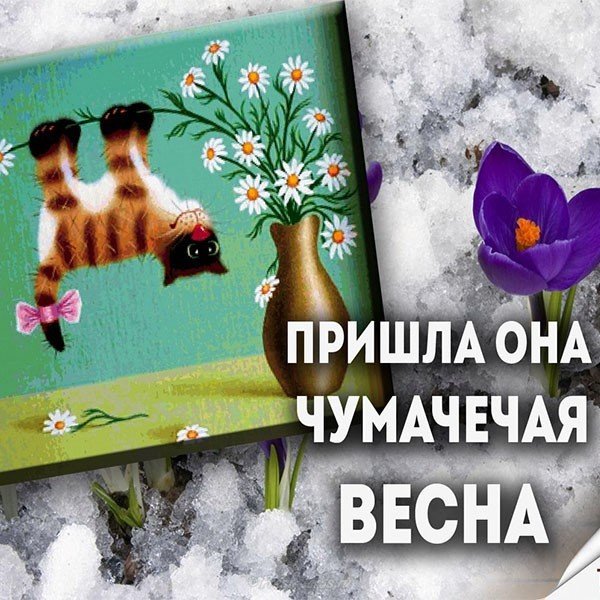 Прикольная открытка с 1 марта