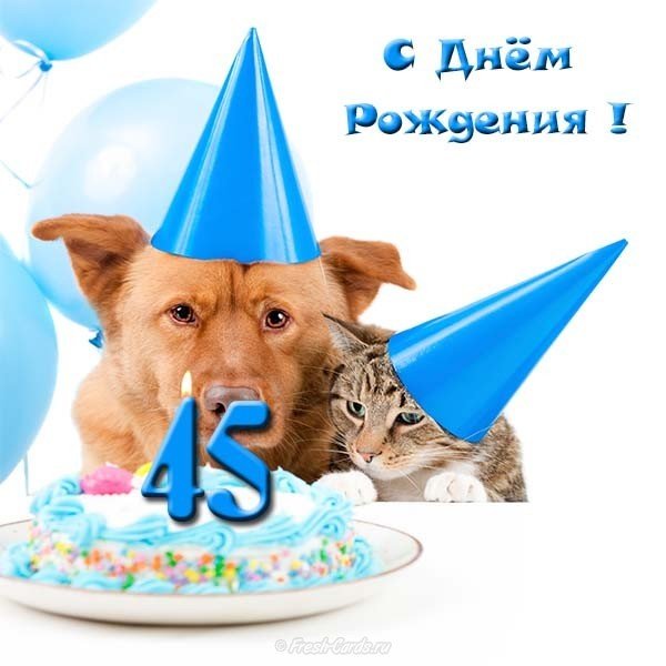 Прикольная открытка с 45 летием