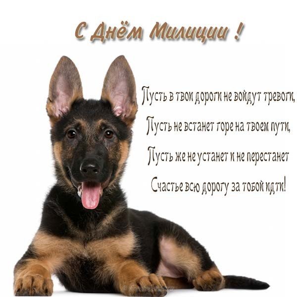 Прикольная открытка с днём милиции