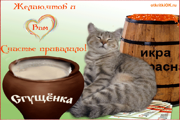 Прикольная открытка с котами