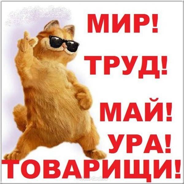 Прикольная поздравительная открытка с 1 мая