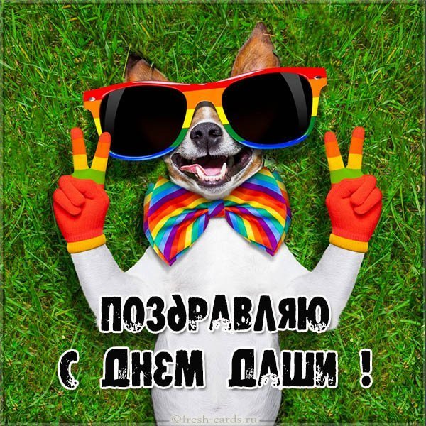 Прикольное поздравление с днем Даши в картинке