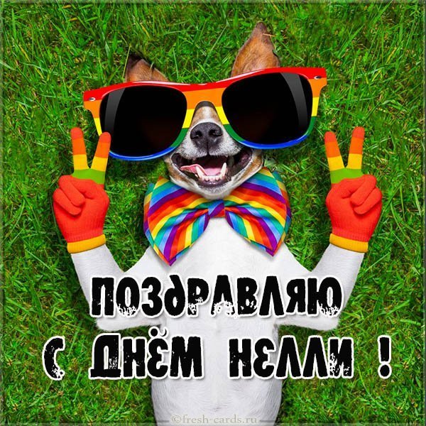 Прикольное поздравление с днем Нелли в картинке