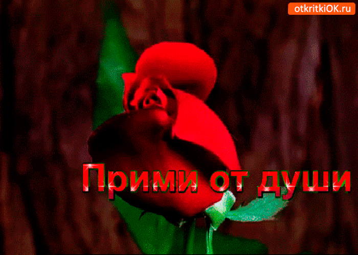 Прими розу от души