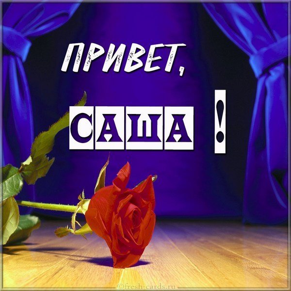 Привет Саша картинка