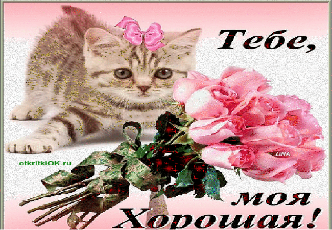 Просто хорошая открытка