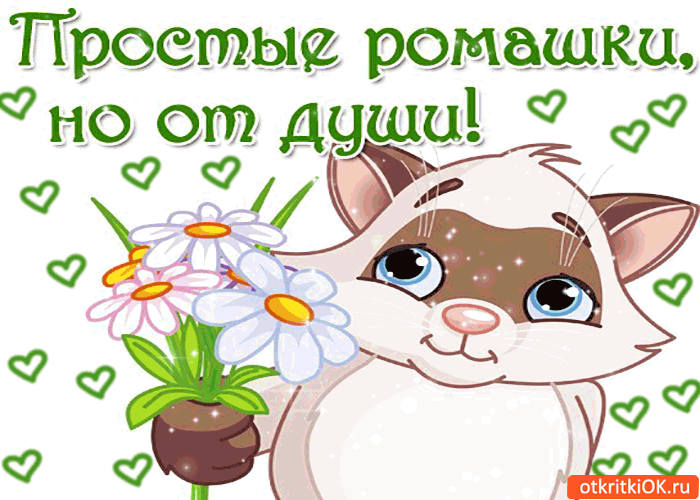 Простые ромашки, но от души!