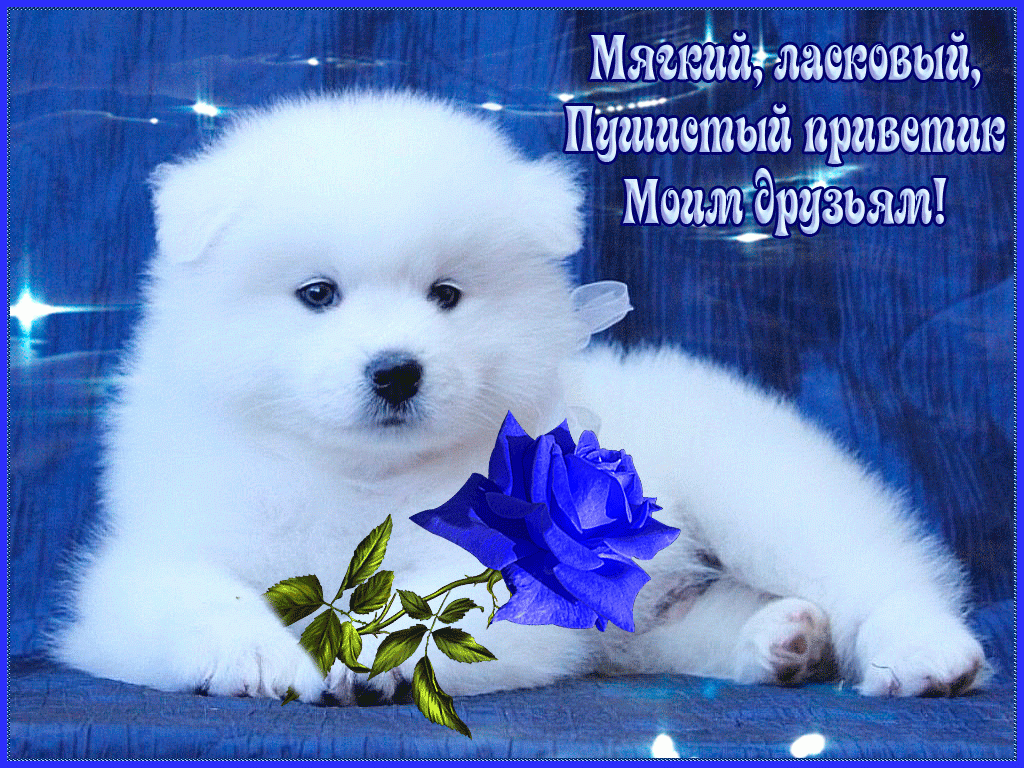 Пушистый приветик от меня моим друзьям