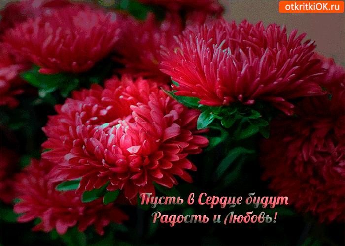 Пуст в сердце будут радость и любовь