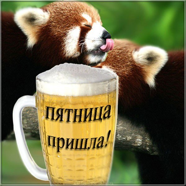 Пятница открытка с юмором бесплатно