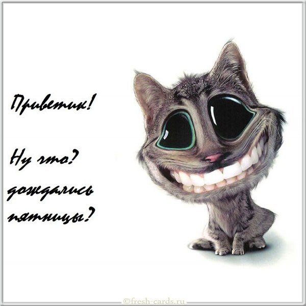 Пятница открытка с юмором