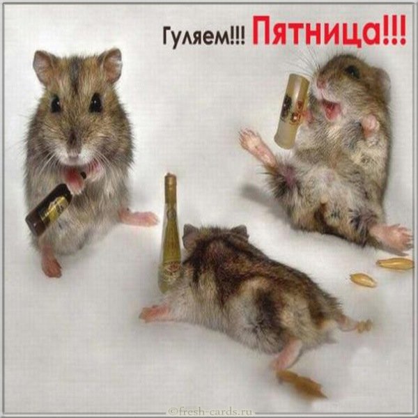 Пятница веселая картинка с надписями
